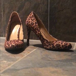 Lauren Conrad leopard print heels